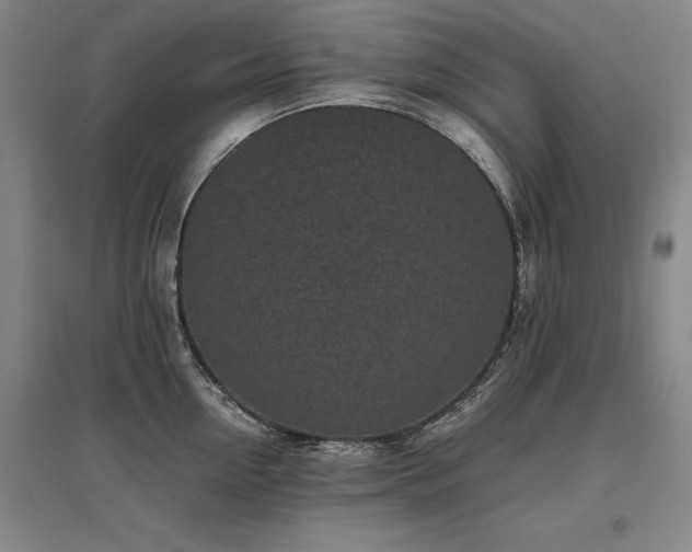 X0000095910954200801111229