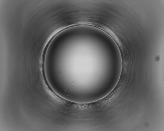 X0000095910955200801111229