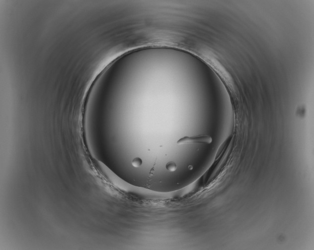X0000095910956200801111229