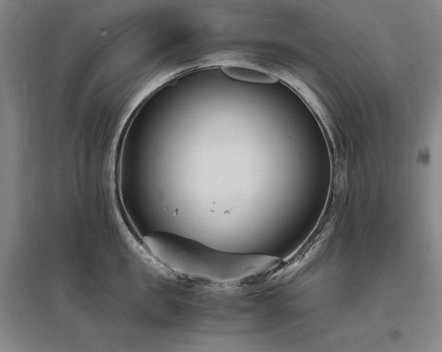 X0000095910957200801111229