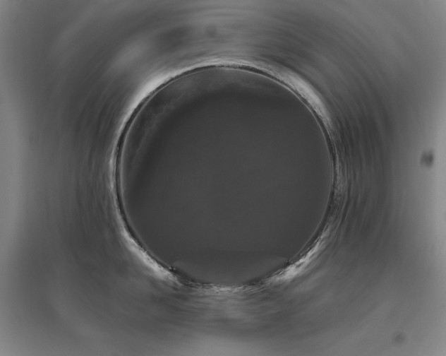 X0000095910958200801111229