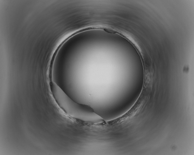 X0000095910959200801111229