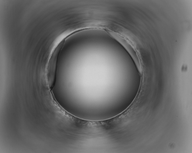 X0000095910960200801111229