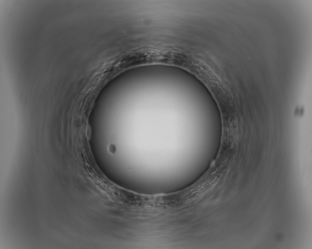 X0000095910961200801111228