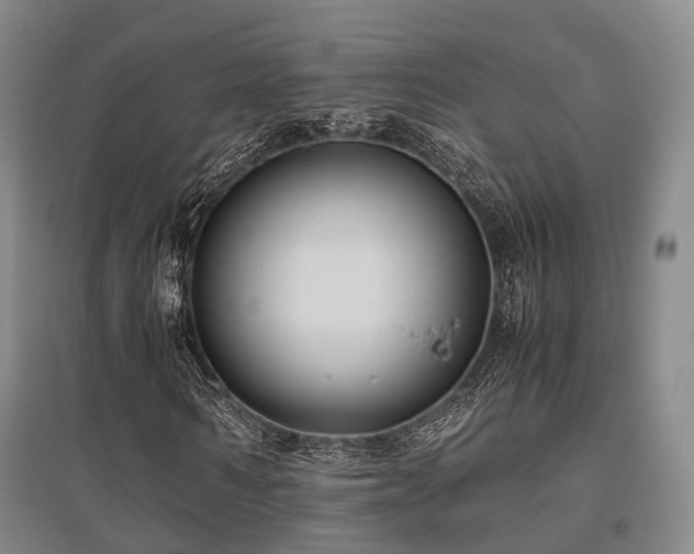 X0000095910962200801111228