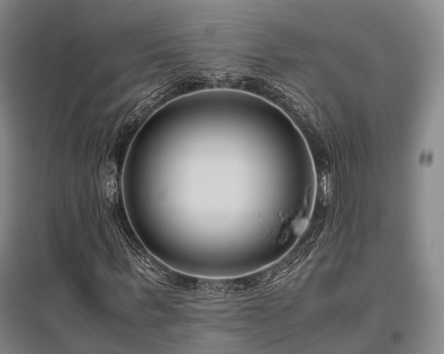 X0000095910963200801111228