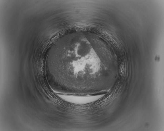 X0000095910964200801111228