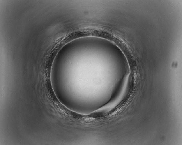 X0000095910965200801111228