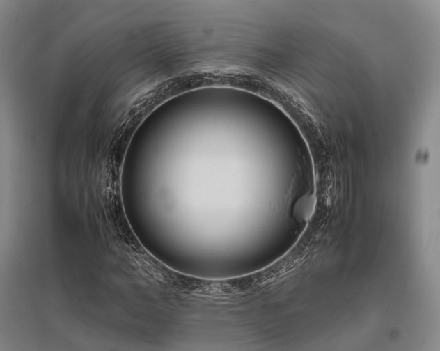 X0000095910966200801111228