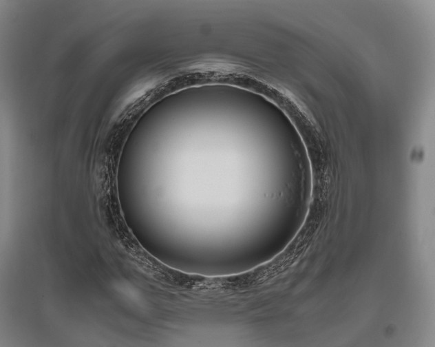 X0000095910967200801111228