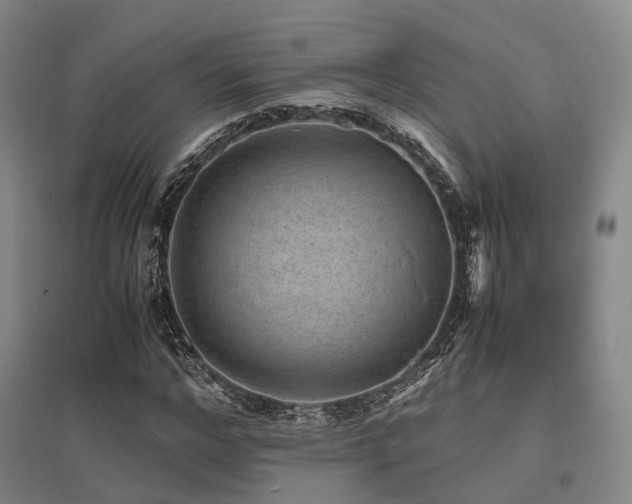X0000095910968200801111228