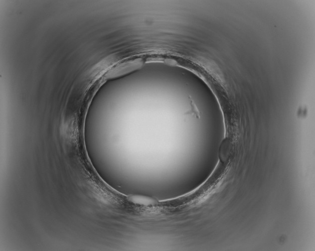 X0000095910969200801111228