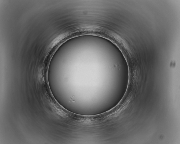X0000095910970200801111228