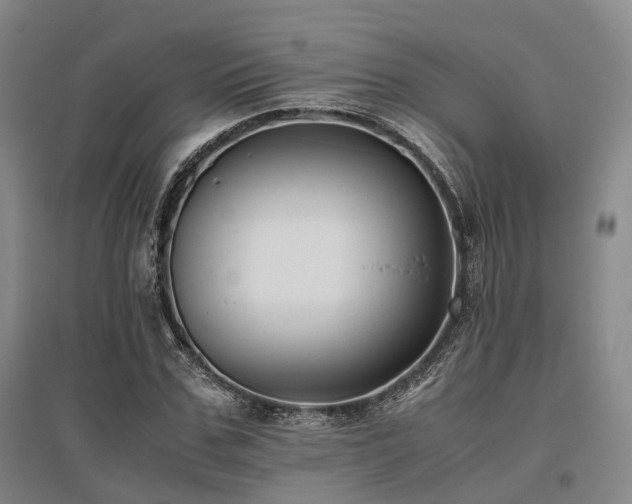 X0000095910971200801111228