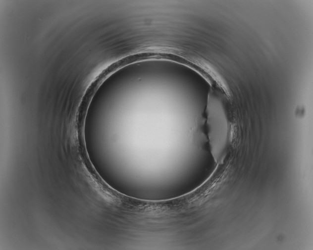 X0000095910972200801111228