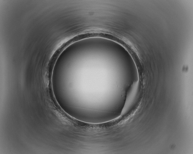 X0000095910973200801111228