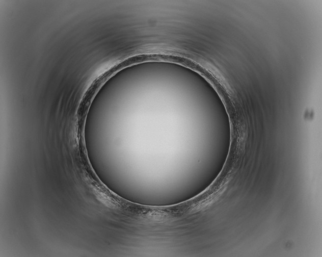 X0000095910974200801111228