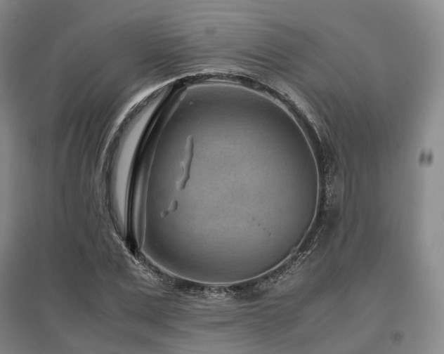 X0000095910975200801111228