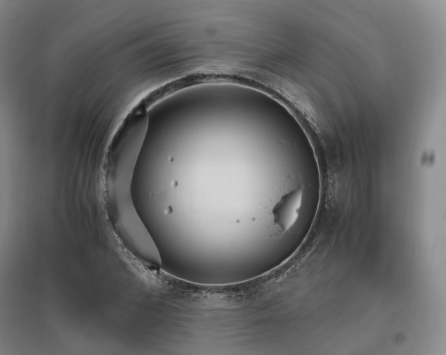 X0000095910976200801111228