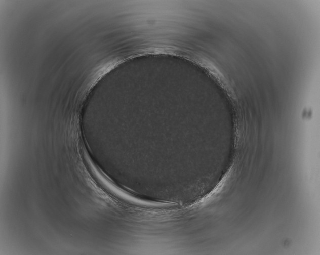 X0000095910977200801111228