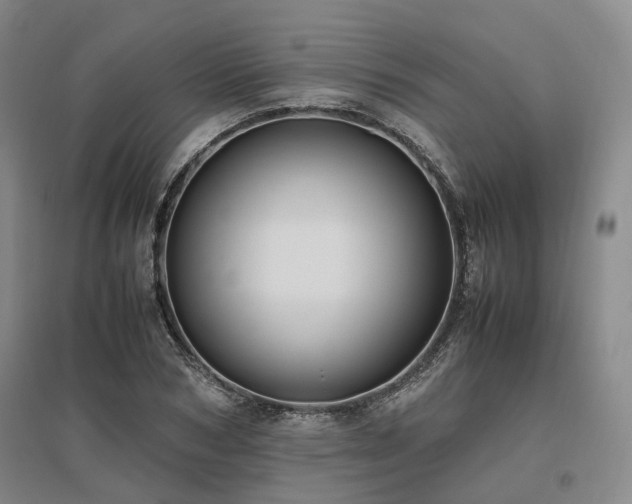 X0000095910978200801111228