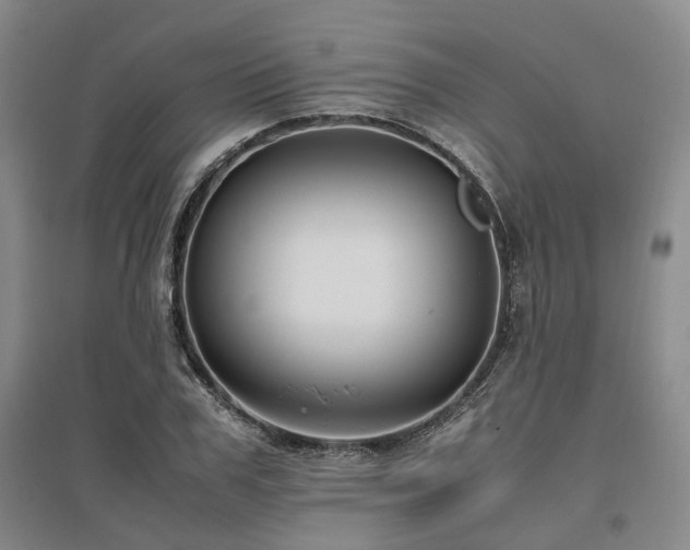 X0000095910979200801111228