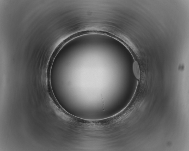 X0000095910980200801111228