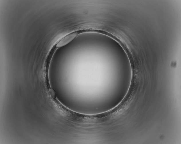 X0000095910981200801111228