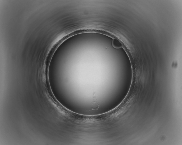 X0000095910982200801111228