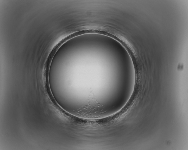 X0000095910983200801111228