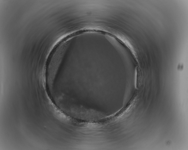X0000095910984200801111228
