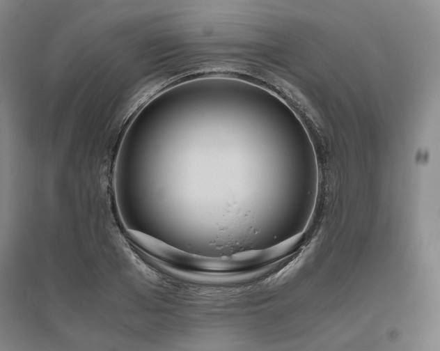 X0000095910985200801111228