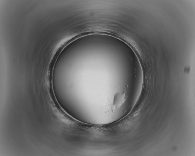 X0000095910987200801111228