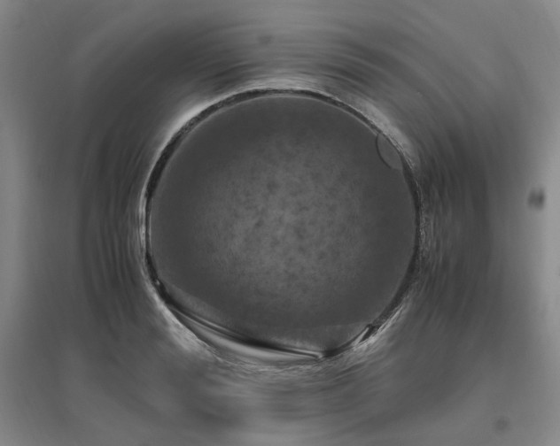 X0000095910988200801111228