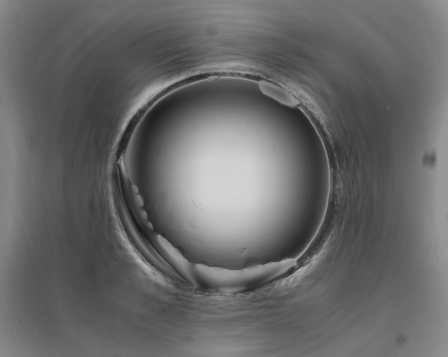 X0000095910989200801111228