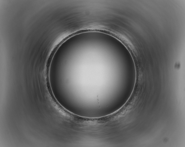 X0000095910990200801111228