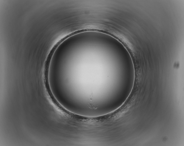 X0000095910991200801111228