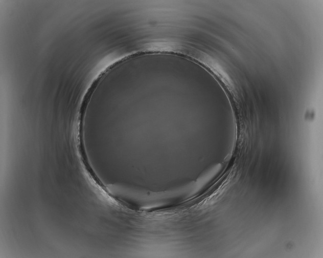 X0000095910992200801111228