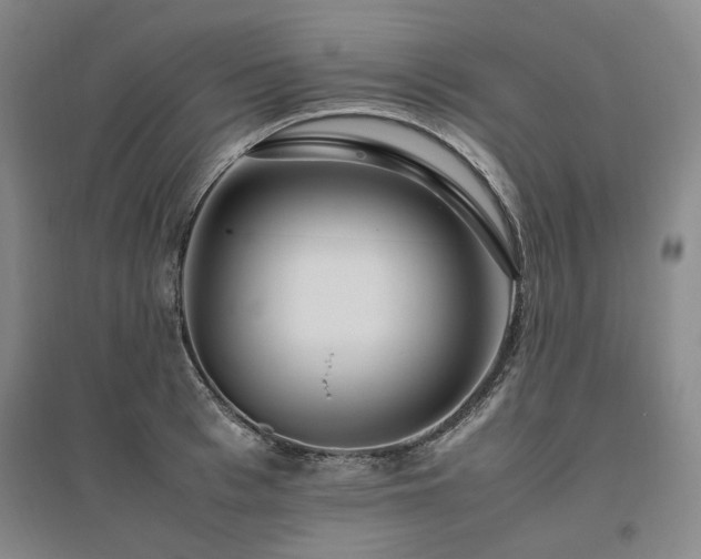 X0000095910993200801111228