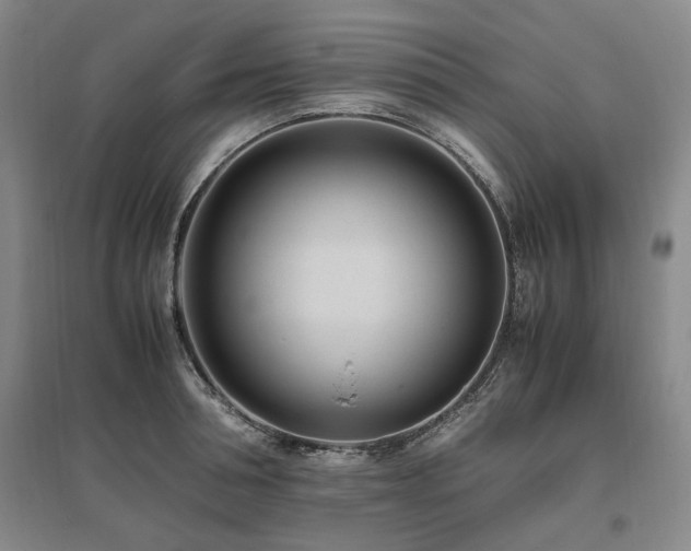 X0000095910994200801111228