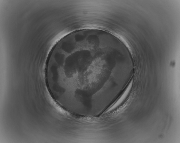 X0000095910995200801111228