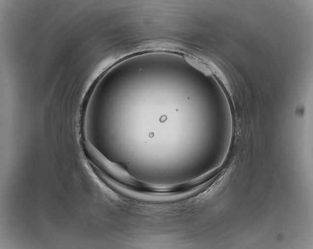 X0000095910997200801111228