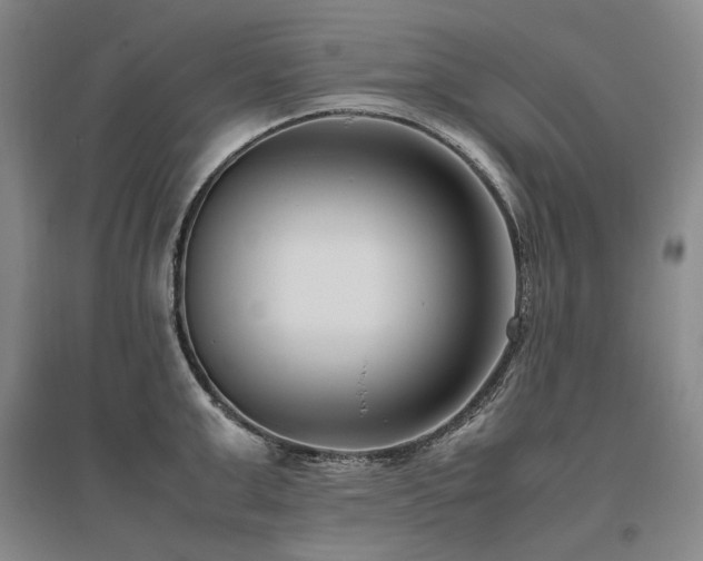 X0000095910999200801111228