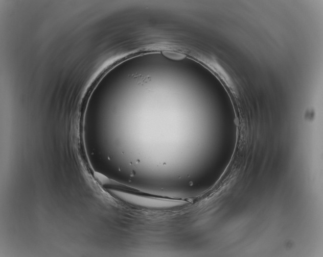 X0000095911000200801111228
