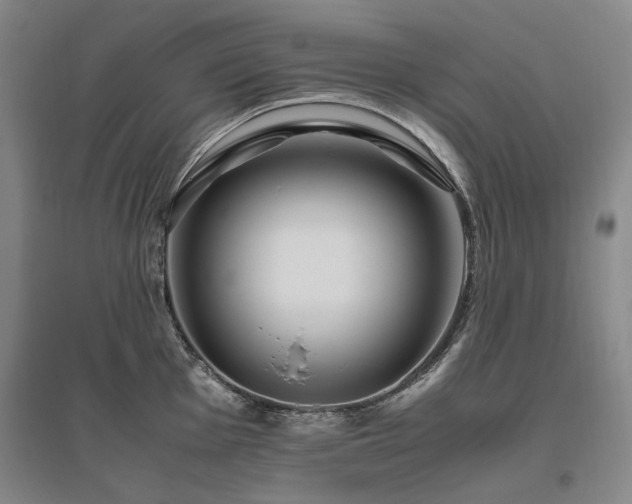 X0000095911001200801111228