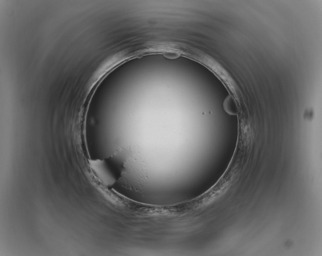 X0000095911002200801111228