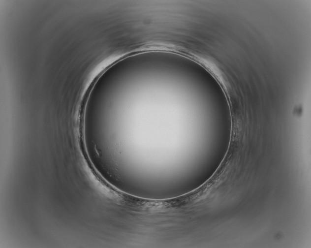 X0000095911003200801111228