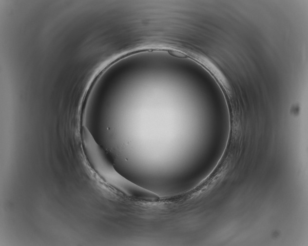 X0000095911004200801111228