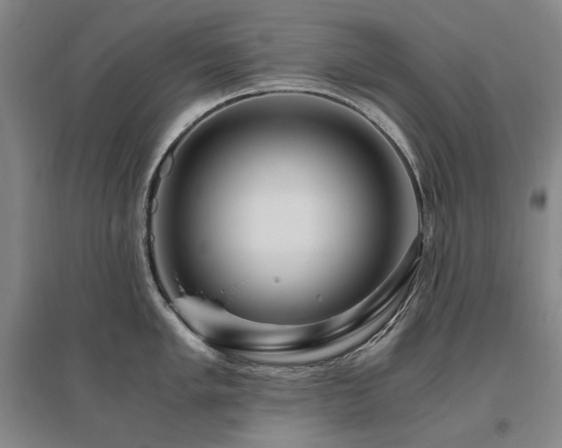 X0000095911005200801111228