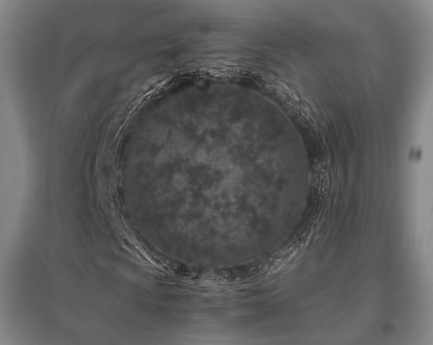 X0000095911009200801111227